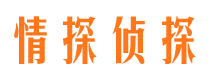 田阳侦探社